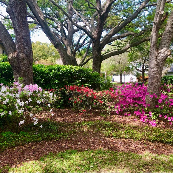 Meet your Posher, Carol - Picture 9 of 11